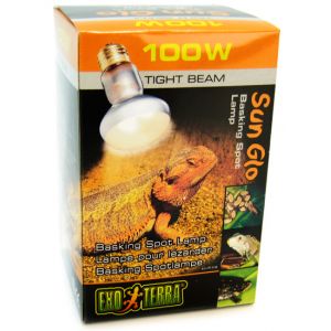 Heat for a Bearded Dragon Heat for a Bearded Dragon