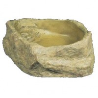 Bearded Dragon Water Bowl