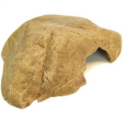 Exo Terra Reptile Cave