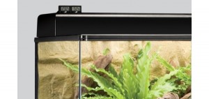 Exo Terra Digital Thermometer