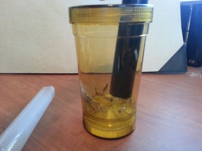 Add Crickets Via Capture Tube