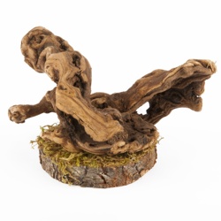 Flukers Driftwood